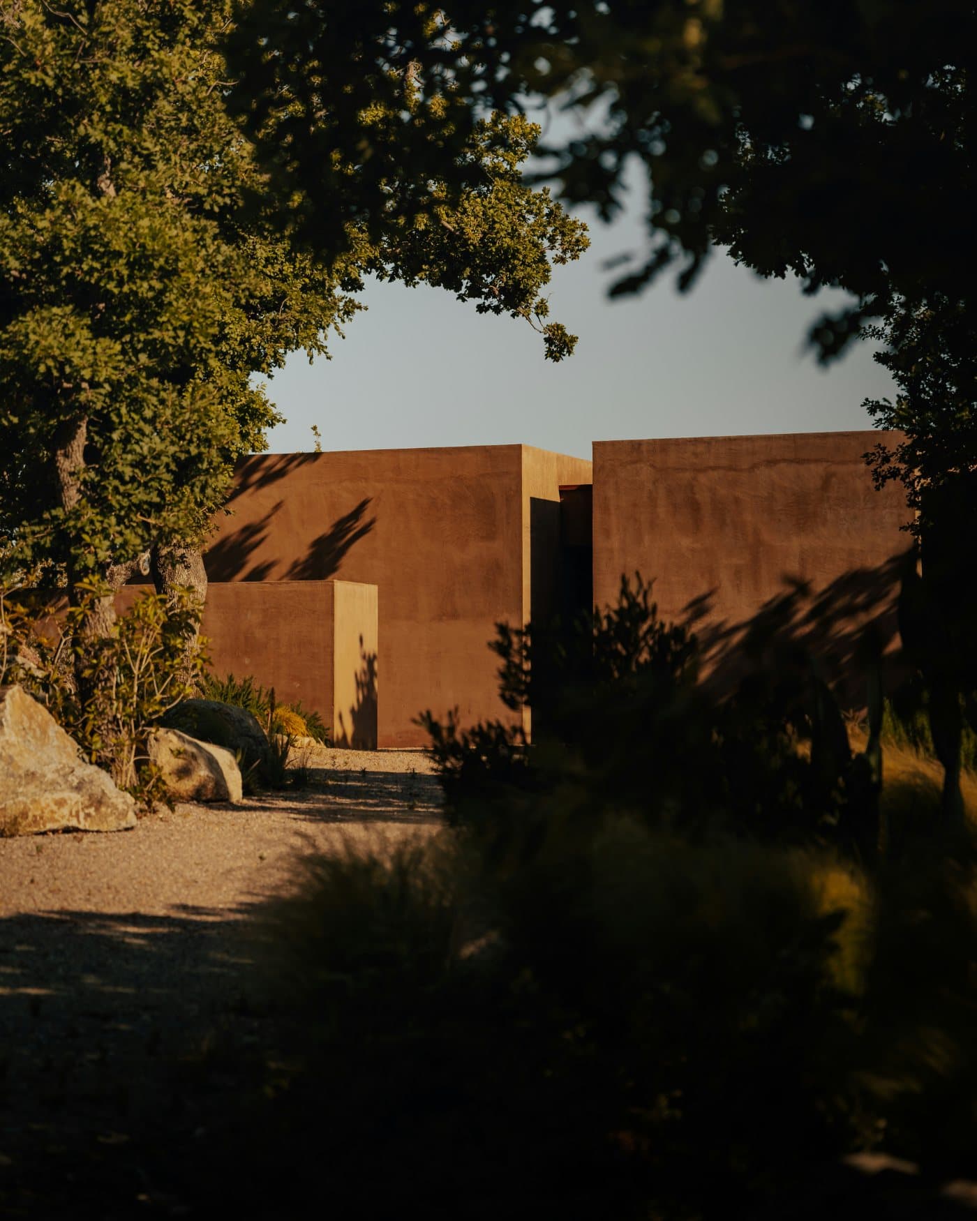 A rammed-earth-toned garden wall glimpsed through live oak branches at sunset