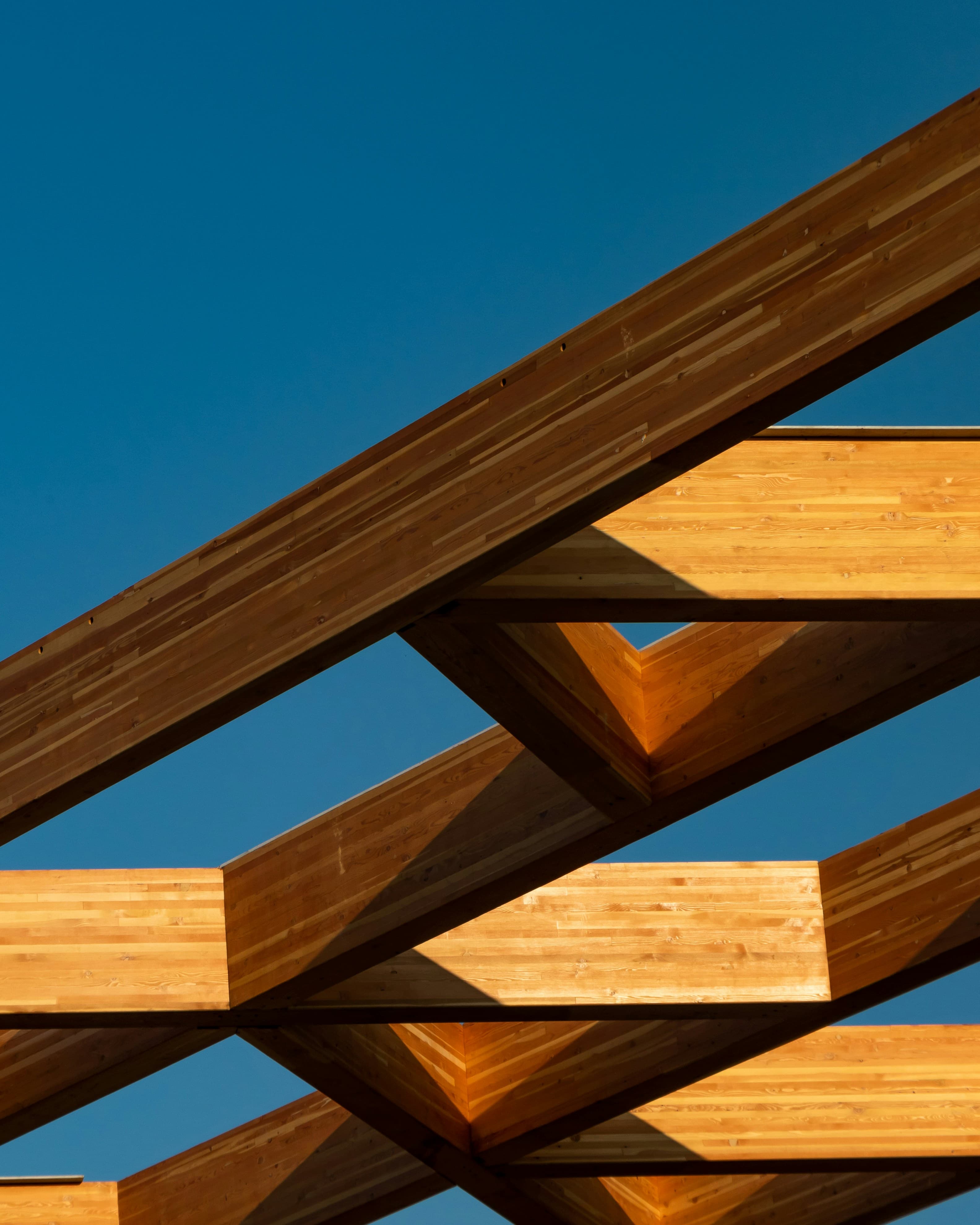 Mass-timber beams joined at a sunlit structural connection