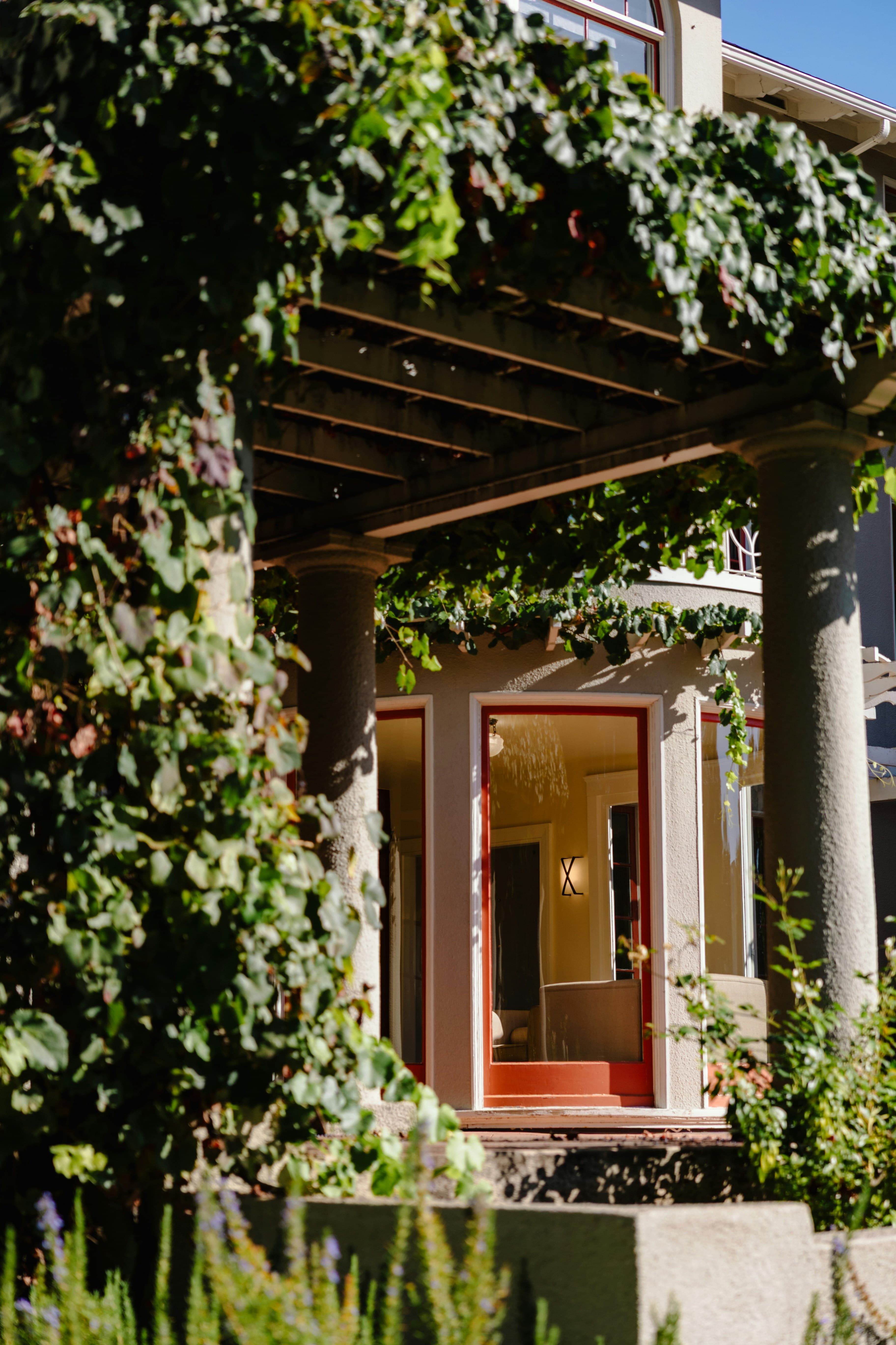 A grapevine-covered loggia framing a sunlit doorway